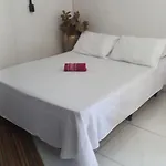 Lion Hospedes