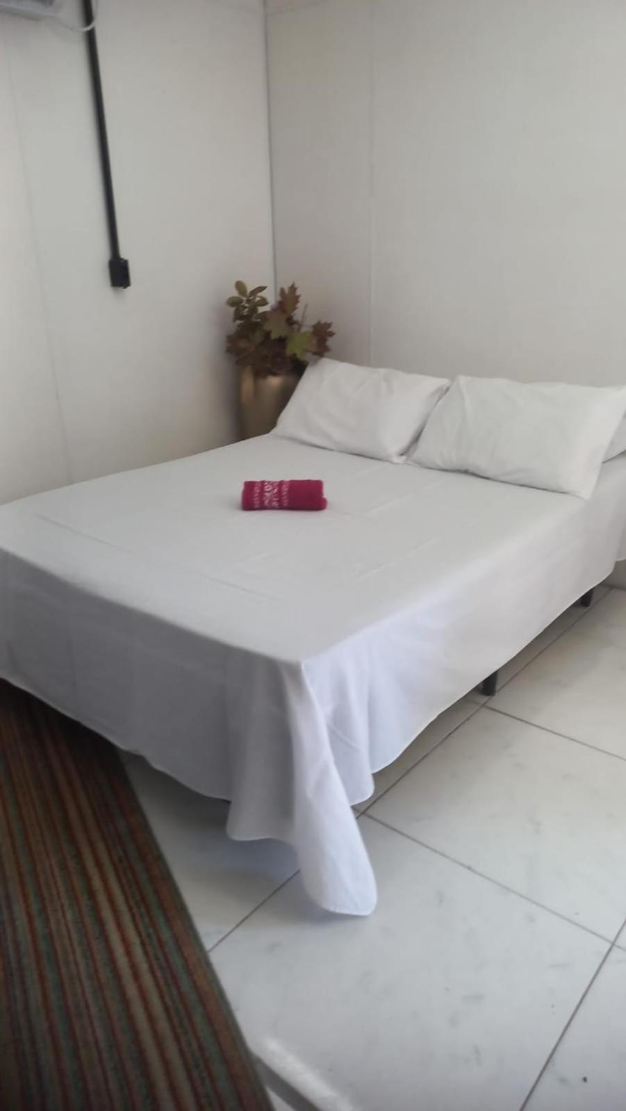Lion Balneario Camboriu